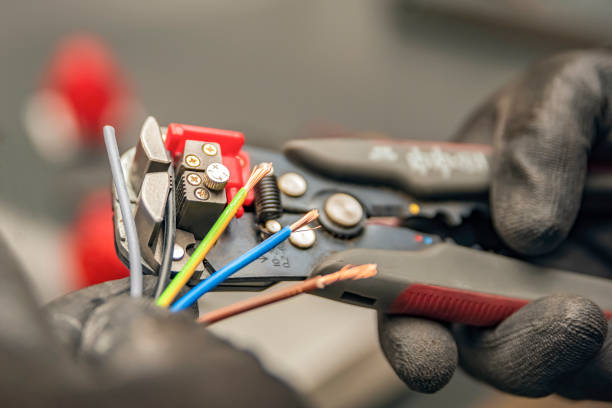 Best Electric Panel Repair  in Ripon, WI